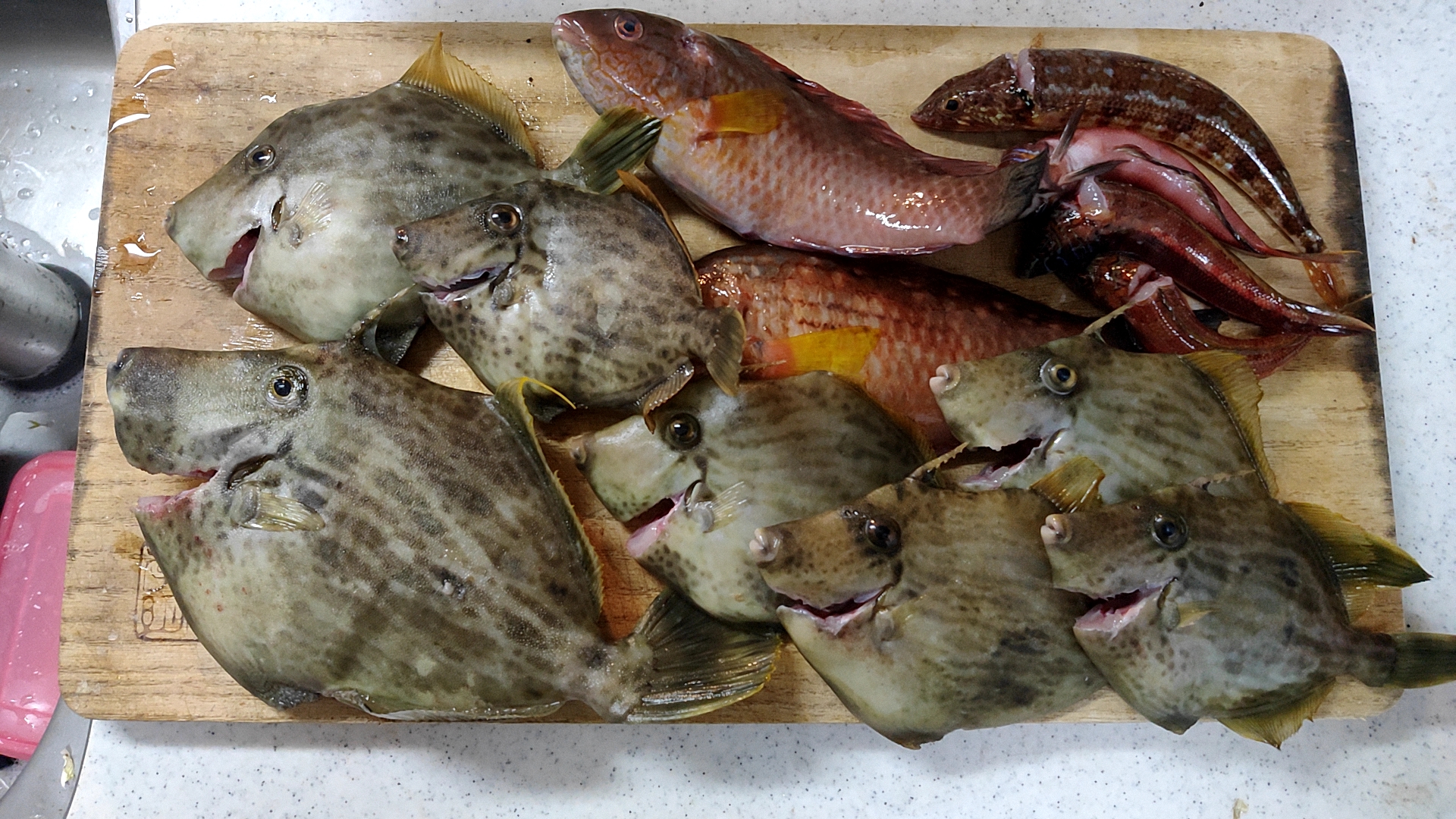 釣って良し食べて良し 千葉金谷光進丸でカワハギ釣り 多趣味な男が好きな事を書いていくブログ 釣って良し食べて良し 千葉金谷光進丸でカワハギ釣り 多趣味な男が好きな事を書いていくブログ